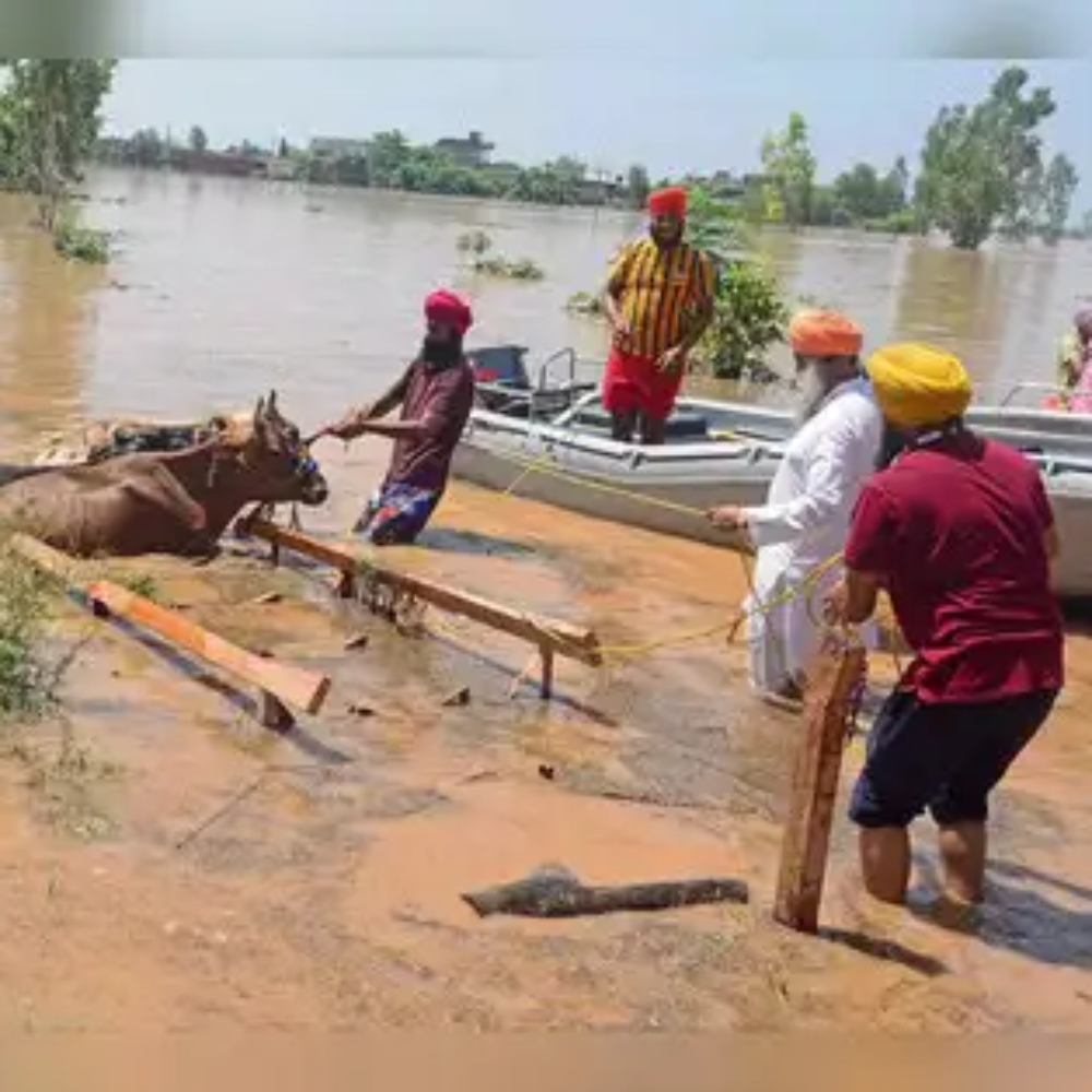 Punjab Flood Relief 2025